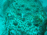2009.07.9-13 105.jpg